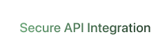Secure API Integration